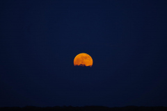 Jim-Burchell-Full-Moon-Rising-5th-May-2023-WhatsApp-Image-2023-05-06-at-16.16.58