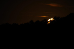 Jim-Burchell-Moon-as-it-set-morning-of-9th-Oct-2022-WhatsApp-Image-2022-10-09-at-7.48.44-AM