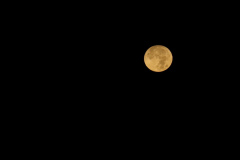 Jim-Burchell-Moon-just-before-it-set-morning-of-9th-Oct-2022-WhatsApp-Image-2022-10-09-at-7.46.43-AM