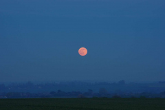Jim-Burchell-Pink-Moon-16th-April-2022-WhatsApp-Image-2022-04-17-at-8.22.05-AM