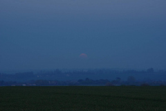 Jim-Burchell-Pink-Moon-rising-16th-April-2022-WhatsApp-Image-2022-04-17-at-8.20.36-AM