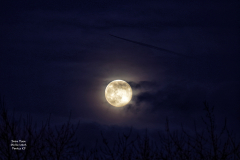 Jim-Burchell-Snow-Moon-5th-Feb-2023
