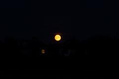 John-Howarth-Moon-9th-Oct-2022-WhatsApp-Image-2022-10-09-at-7.17.38-PM