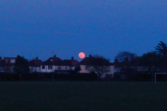 John-Howarth-Pink-Moon-16th-April-2022-WhatsApp-Image-2022-04-16-at-8.18.26-PM