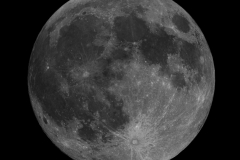 N.Webster-Moon-24th-March-2024
