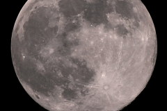 Supermoon-4Dec25-with-watermark