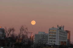 WhatsApp-Image-2026-01-03-at-08.12.42