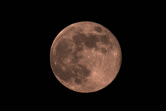 WhatsApp-Image-2026-01-03-at-16.52.46