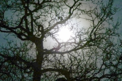 moon_hw01
