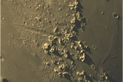 moon_jt09