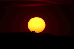 HW-Sun-with-Sunspots