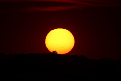 Honor-Wheeler-Sunspots-at-sun-down-13th-July-2022-WhatsApp-Image-2022-07-13-at-9.18.20-PM
