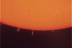 SUNJT03