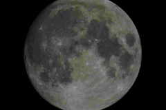 WhatsApp-Image-2025-04-11-at-22.47.06