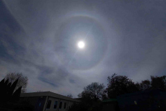 WhatsApp-Image-2025-04-12-at-12.52.44